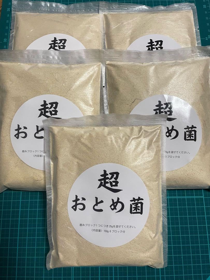 備前焼の作家宮宅淪迸の 徳利 備前焼の作家宮宅淪迸の 徳利 備前徳利