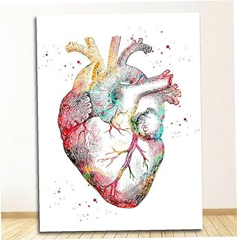 Amazon.co.jp: 人体解剖学的心臓胸部臓器 アート絵画 絵画プリント