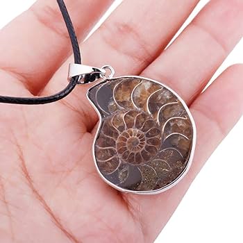 Amazon.co.jp: 女性の天然アンモナイト化石ペンダントネックレス男性用