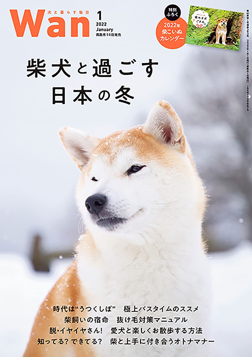Wan 2022年 1月号 (特集:柴犬)[別冊付録「柴こいぬ 2022年カレンダー
