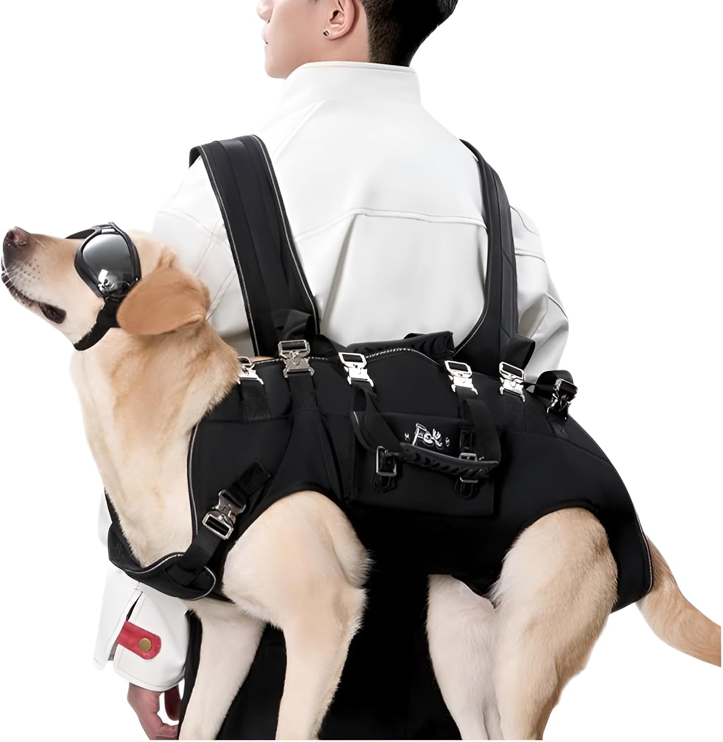 MILLIONG キャリーバッグ | TOZAI NANBOKUYA MILLION ミリオン ペット