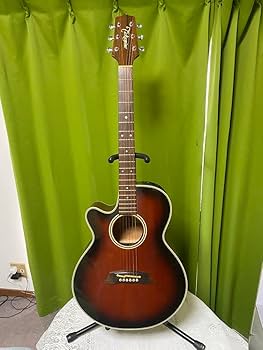 Amazon.co.jp: 長渕剛愛用 Takamine エレアコPT106 純正ハードケース付