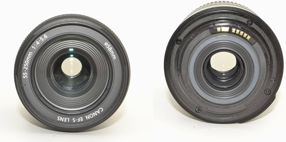 キャノン EFS 55-250mm ズームレンズ