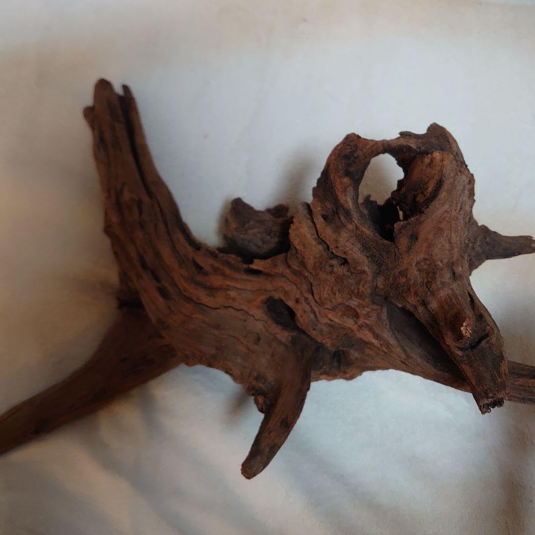 XM-378 流木 マシンガンウッド アクアリウム ブランチウッド アク抜き