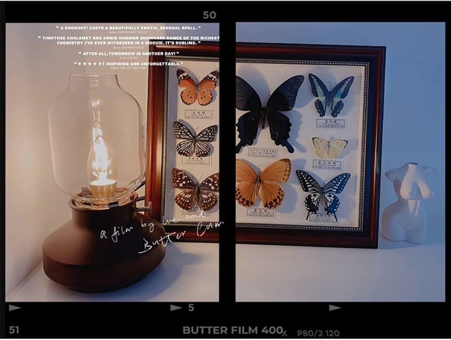 Amazon.co.jp: 昆虫標本、絶妙な蝶標本展示、本物の額入り蝶剥製、8