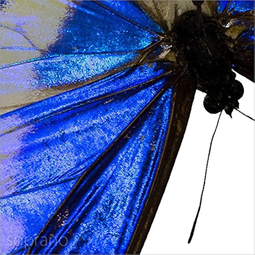 617A4PNwvIL._AC_UF894,