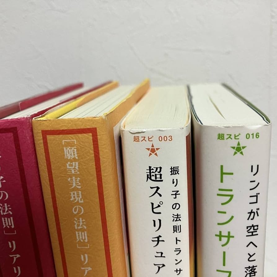 願望実現の法則 リアリティ・トランサーフィン 2 リアリティ・トラン
