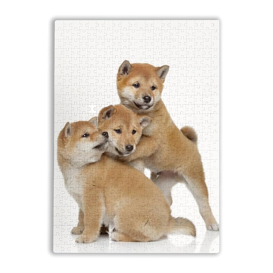 ᵔᴥᵔ犬と猫写真ジグソーパズル500ピース50×75㎝ホワイト額入り完成品