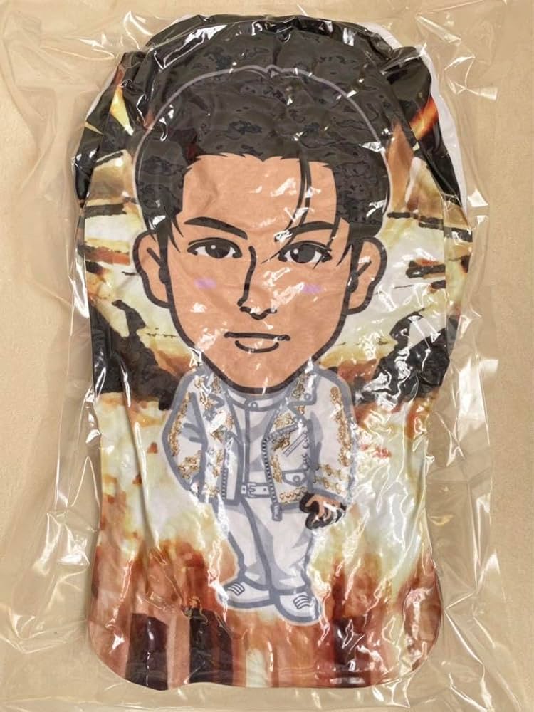 出回りなし】長谷川慎 ラグパン クッション