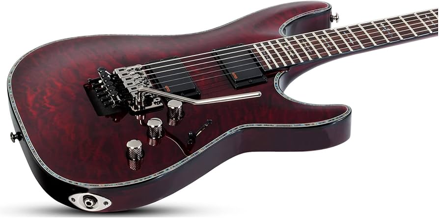Amazon | Schecter シェクター Hellraiser C-1 FR エレキギター, Black