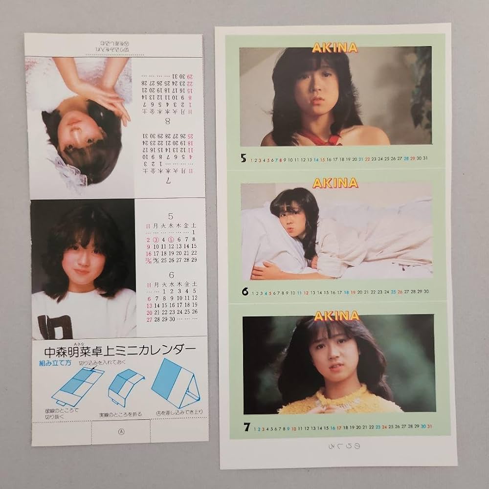 中森明菜 カレンダー 1点限り 中森明菜 カレンダー 1点限り