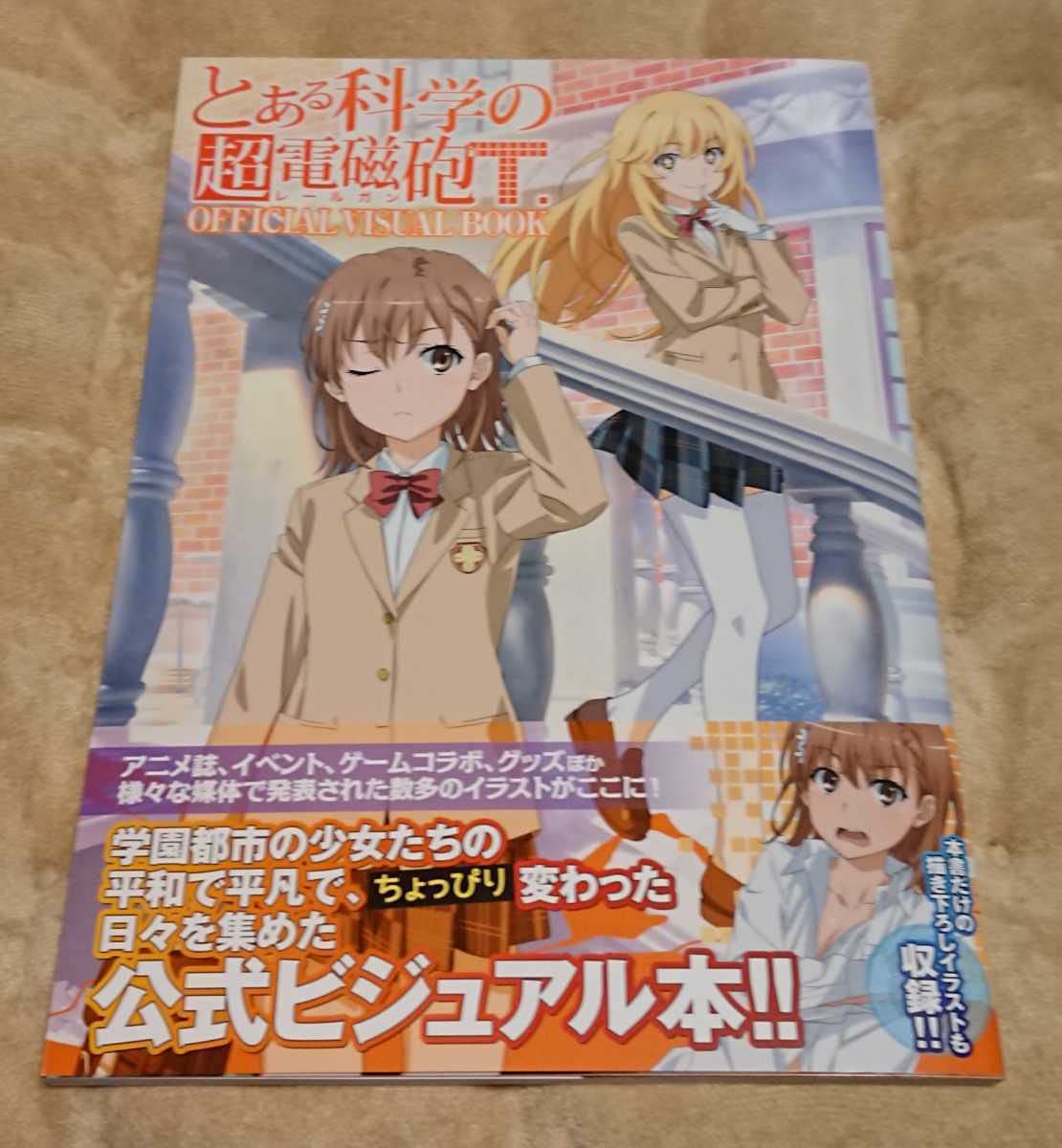 とある科学の超電磁砲T あにばーさる 特典 B2タペストリー とある科学