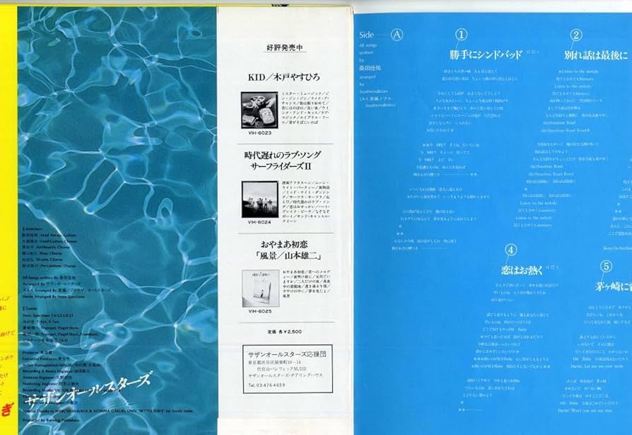 サザンオールスターズ 限定ピクチャー盤 レコード 暑中御見舞い Amazon