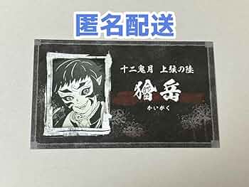 618K5JF505L._AC_UF350,