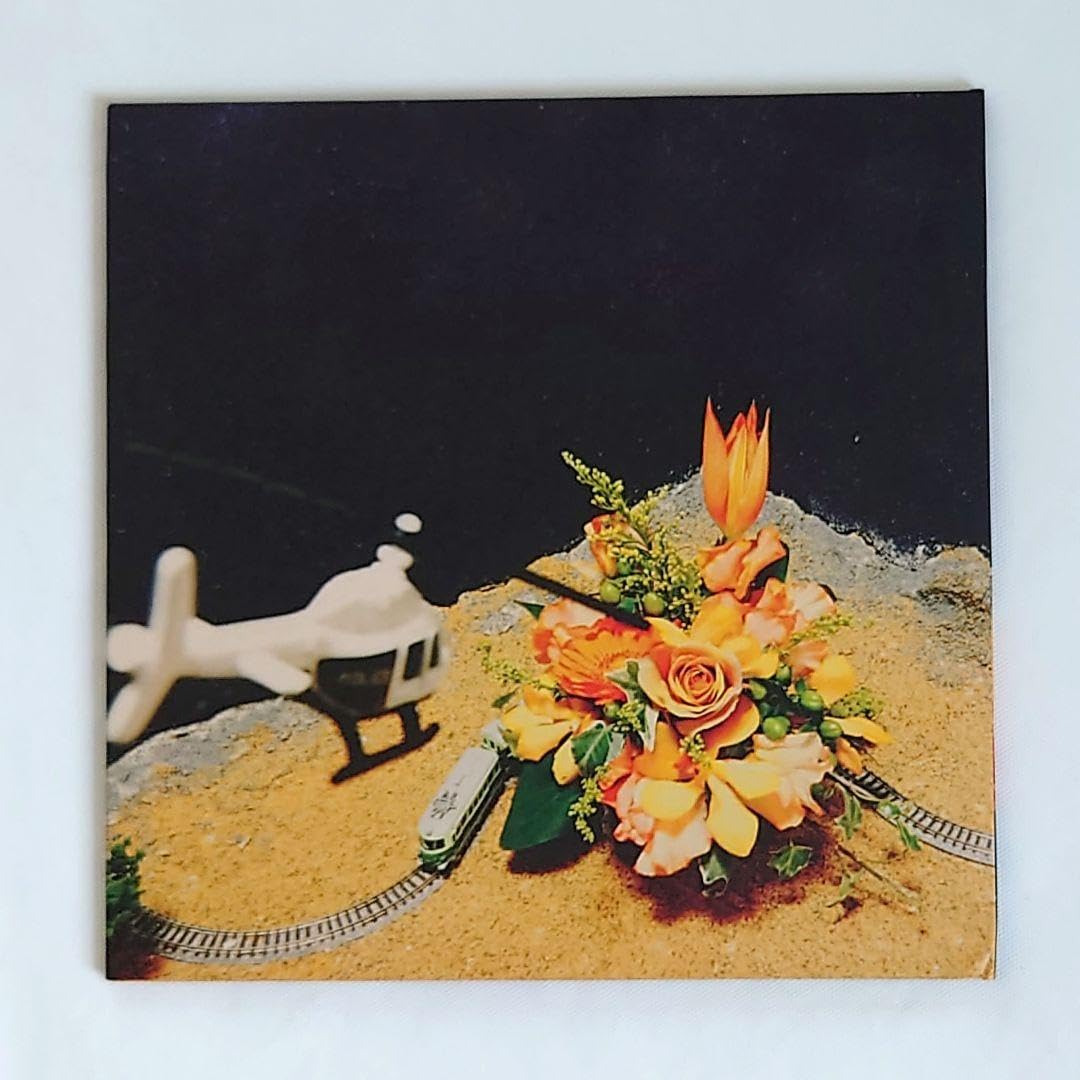 サイン入り】緑黄色社会ノンカテゴリ CD Amazon.co.jp: 緑黄色社会