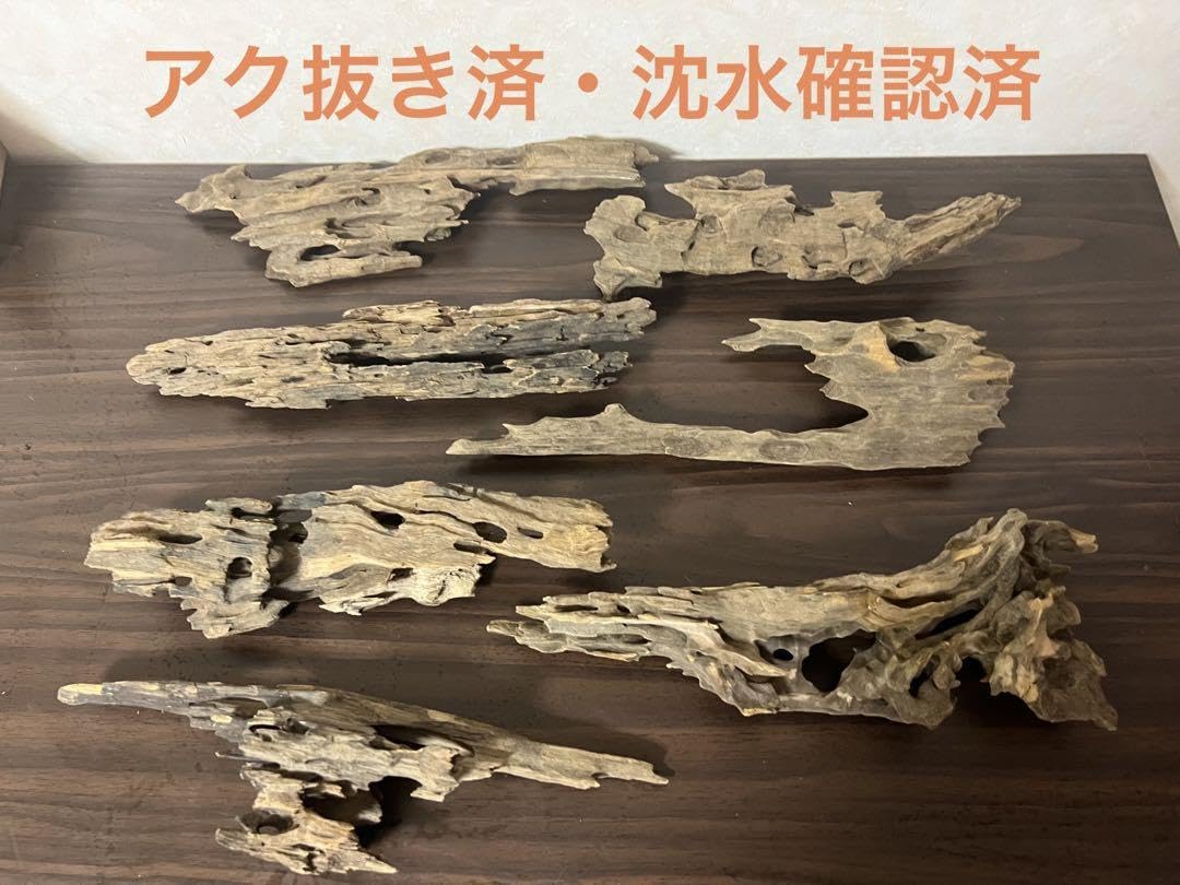 4045 流木アクアリウム沈水確認済ブランチウッド