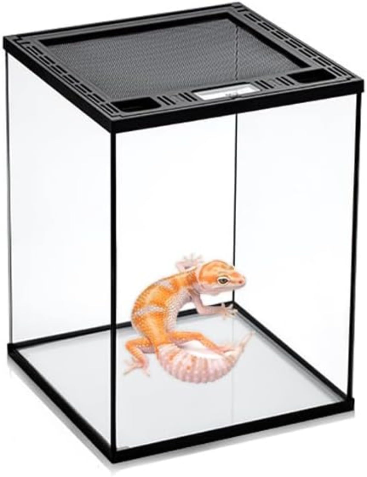 爬虫類 両生類 飼育ケージ 前開き 50×30×25cm 爬虫類 両生類 飼育ケージ 前