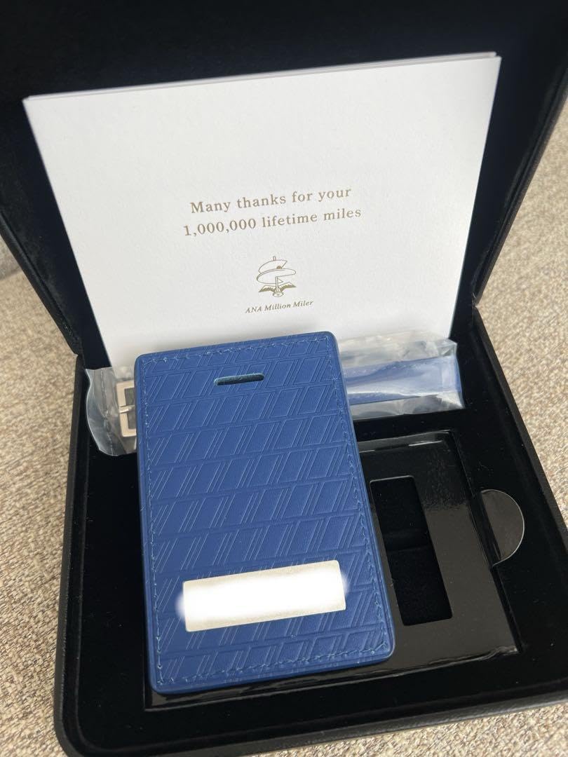 Amazon.co.jp: ANA ライフタイムマイル パートナー航空会社 ミリオン