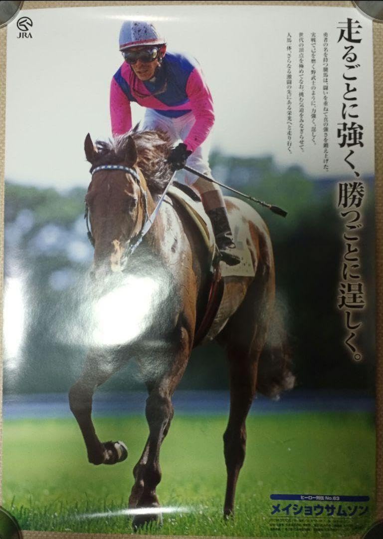 ヒーロー列伝 ポスター B3 メイショウドトウ等 JRA 競馬