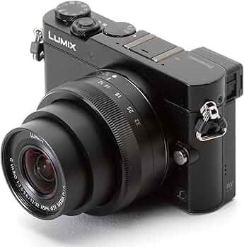 Amazon | パナソニック ミラーレス一眼カメラ GM5 レンズキット