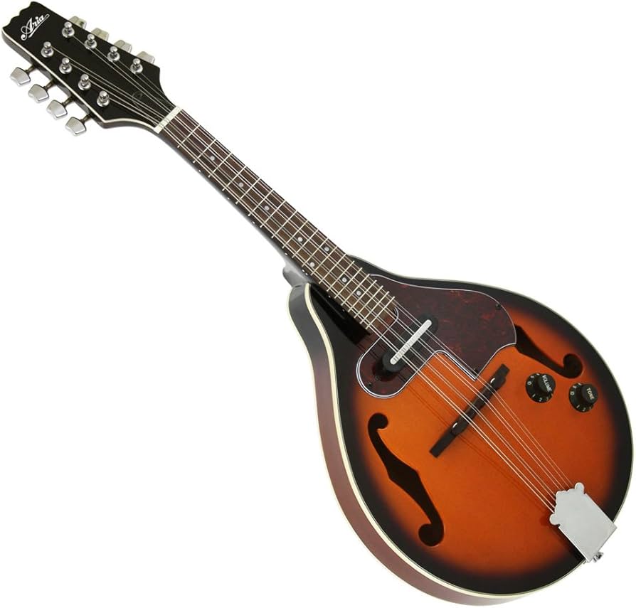 Amazon | ARIA アリア 電子マンドリン AM-20E ハードケース付き