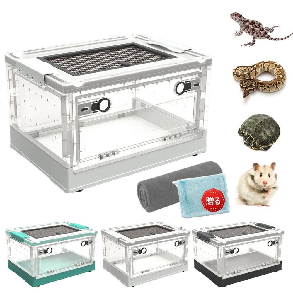 爬虫類ケージ 小型の両生類、爬虫類に！ Amazon.co.jp: ハムスター