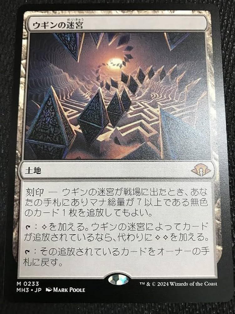 mtg ウギンの迷宮 2枚セット ウギンの迷宮 日本語 2枚 ウギンの