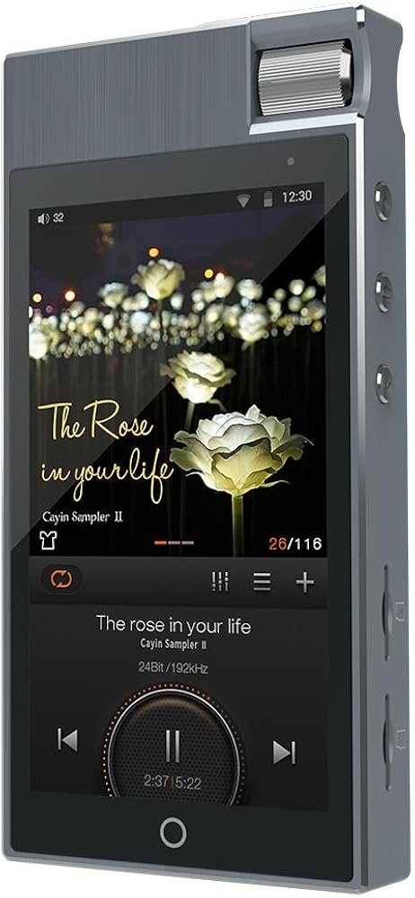 Amazon.co.jp: N5ii DAP【国内正規品】 : 家電＆カメラ