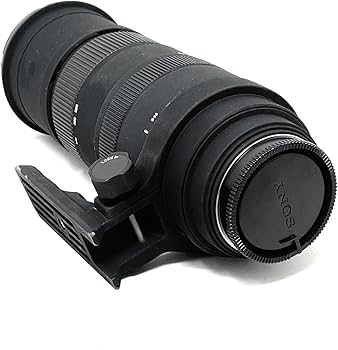 Amazon.co.jp: SIGMA APO 150-500mm F5-6.3 DG OS HSM Telephoto Zoom