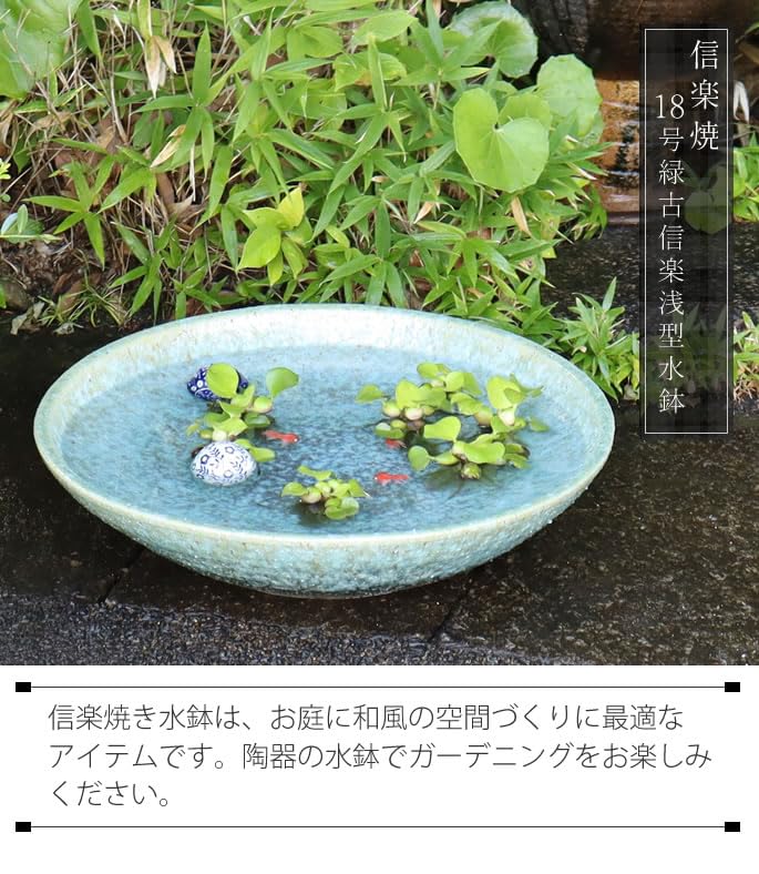 Amazon.co.jp: 信楽焼 18号緑古信楽浅型 メダカ鉢 睡蓮鉢 スイレン鉢