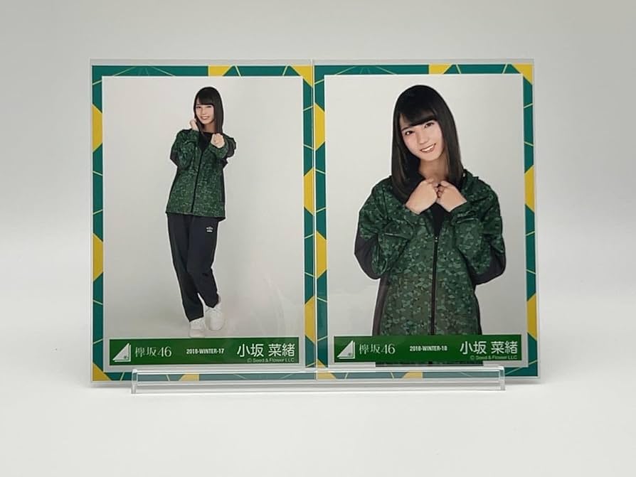 全メンバー フルコンプ 欅坂46 ガラスを割れ！生写真 4種×41名