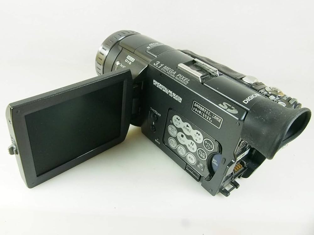 撮影再生ダビングOK Panasonic NV-GS100 ☆付属品多数☆大画面 撮影再生