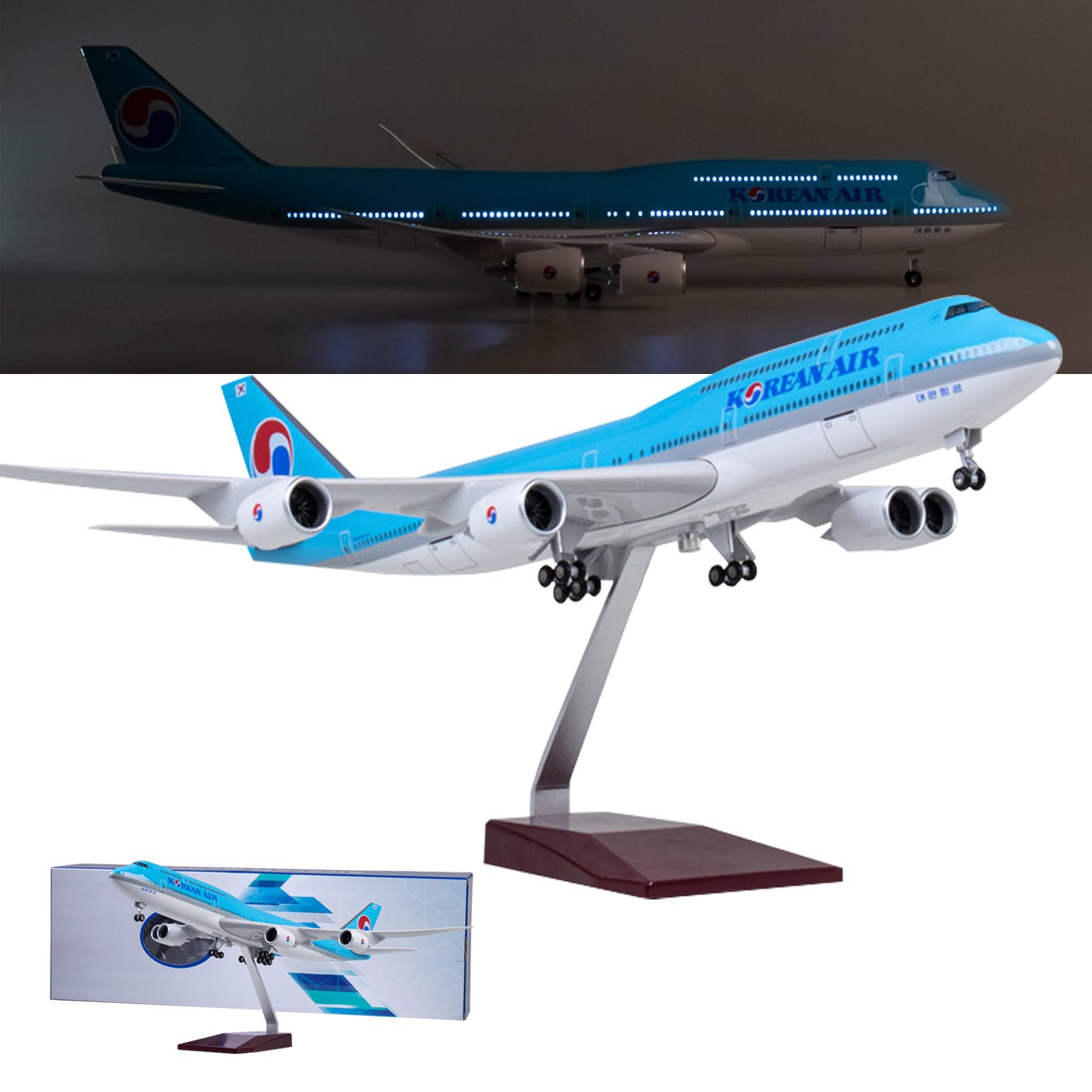 8/17 フライングホヌ カイ君 1/150 BIGModel 8/17 フライングホヌ カイ