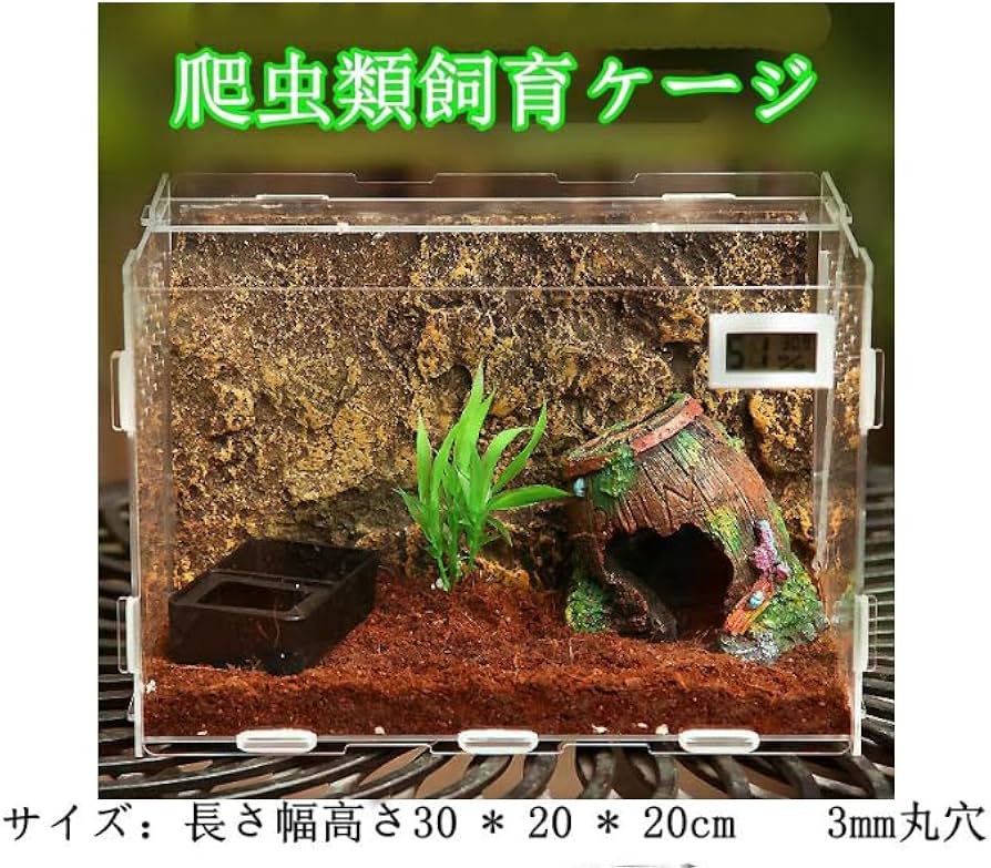 Amazon | JKOOK 爬虫類飼育ケース 透明アクリル 昆虫飼育ケージ 保温