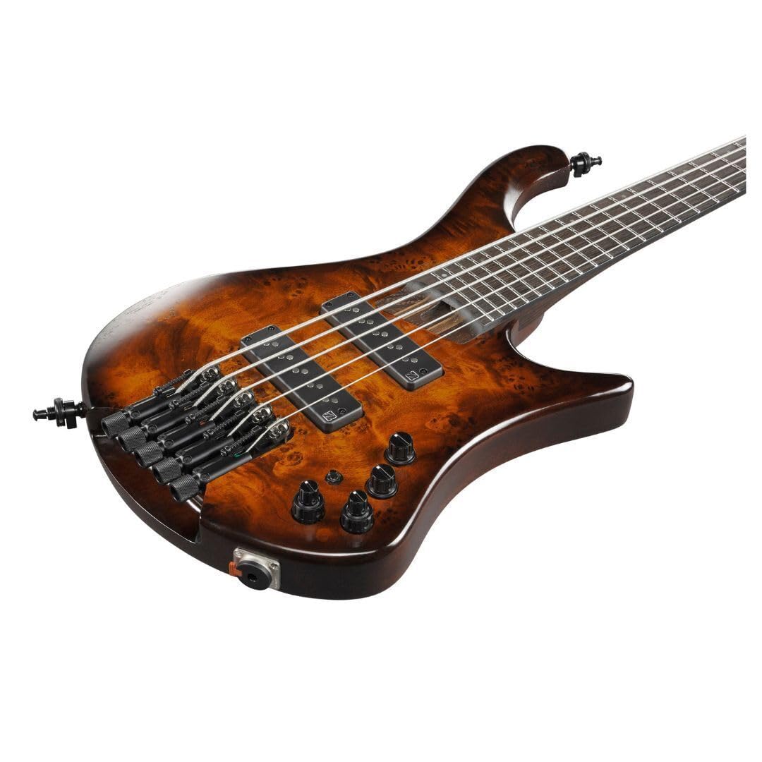 Amazon.com: Ibanez EHB Ergonomic Headless 5-string Bass Guitar