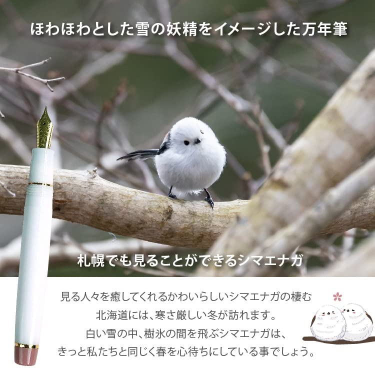 Amazon | セーラー万年筆 万年筆 ホームショッピングオリジナル 春を