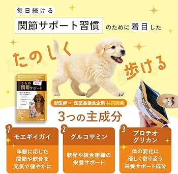 Amazon | 【獣医師監修】うちの関節サポート （90粒/1袋） 犬 猫