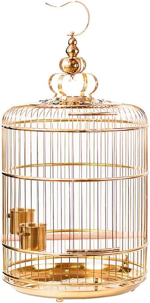 Amazon.co.jp: 創造的な鳥かご 花と豪華なゴールドハイエンド
