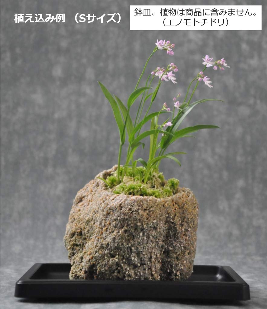 Amazon | 工房はやちね(Kobohayachine) 抗火石（軽石）鉢 Sサイズ - 山