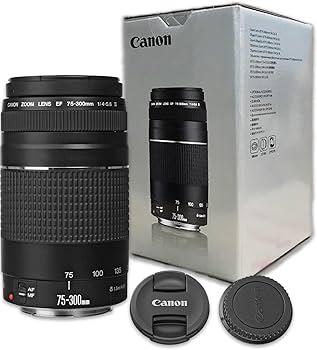 Amazon.com : Canon Ef 75-300mm F/4-5.6 III Telephoto Zoom Lens for
