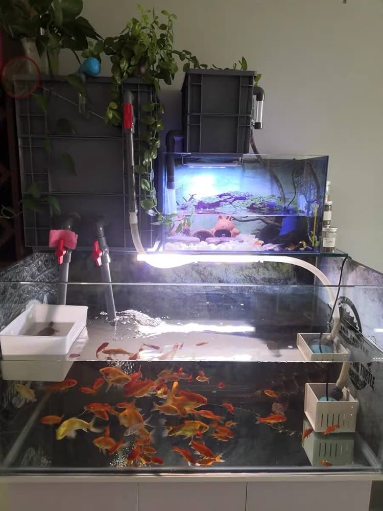 Amazon | 三段式万能濾過装置 外部式ろ過槽 コンパクト濾過装置