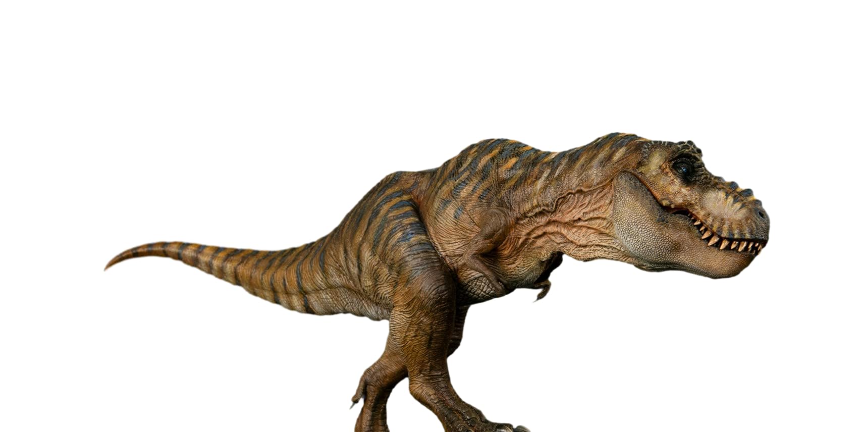 Nanmu 本心楠改 The King of the Border Giganotosaurus2.0 フィギュア