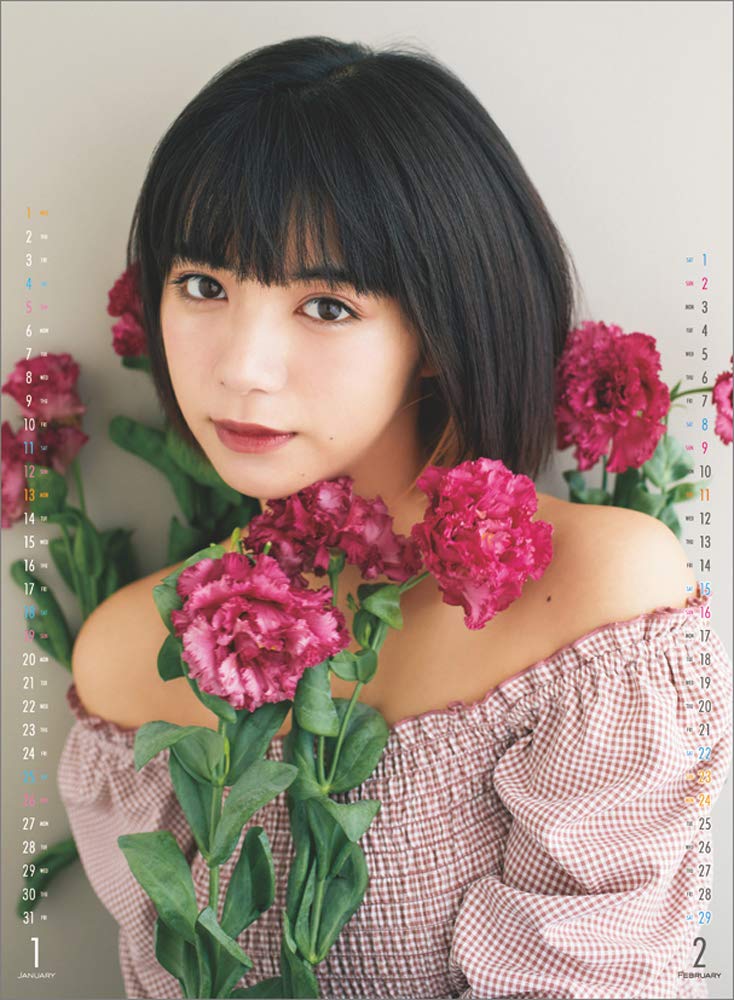 未開封】池田エライザ カレンダー2018 サイン入り 未開封】池田