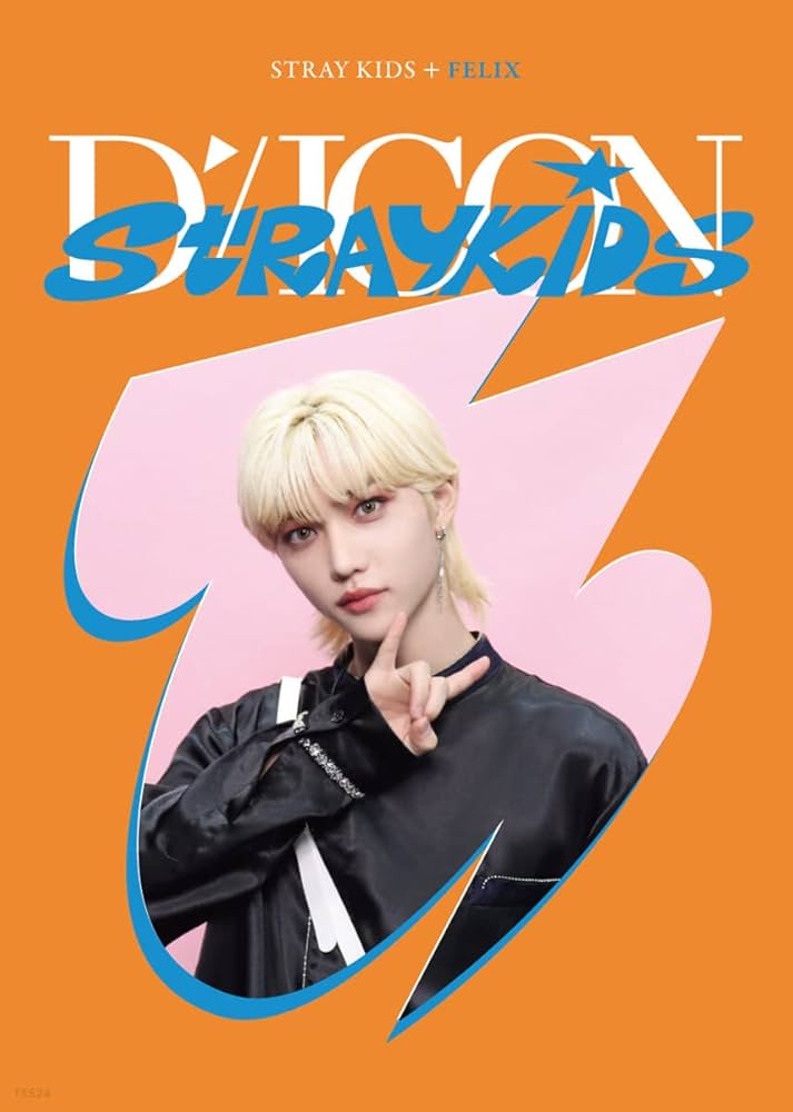 Amazon.co.jp: STRAY KIDS - DICON D'FESTA MINI EDITION 公式 輸入品