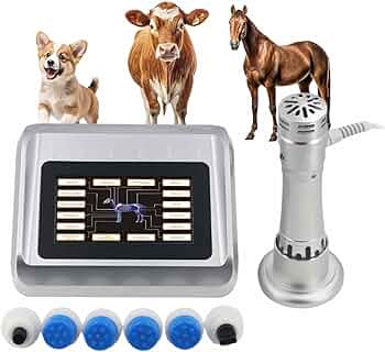 体外衝撃波 電気衝撃波マッサージ機 ポータブルケース付 腰痛 骨折 ED