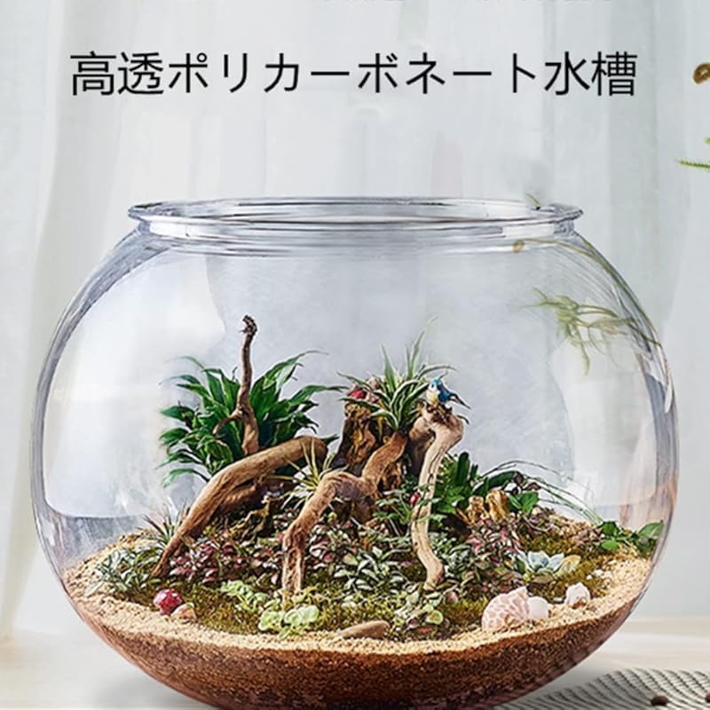 流木ガラス オブジェ特大A 花瓶 金魚鉢 ガーデニング テラリウム 観賞