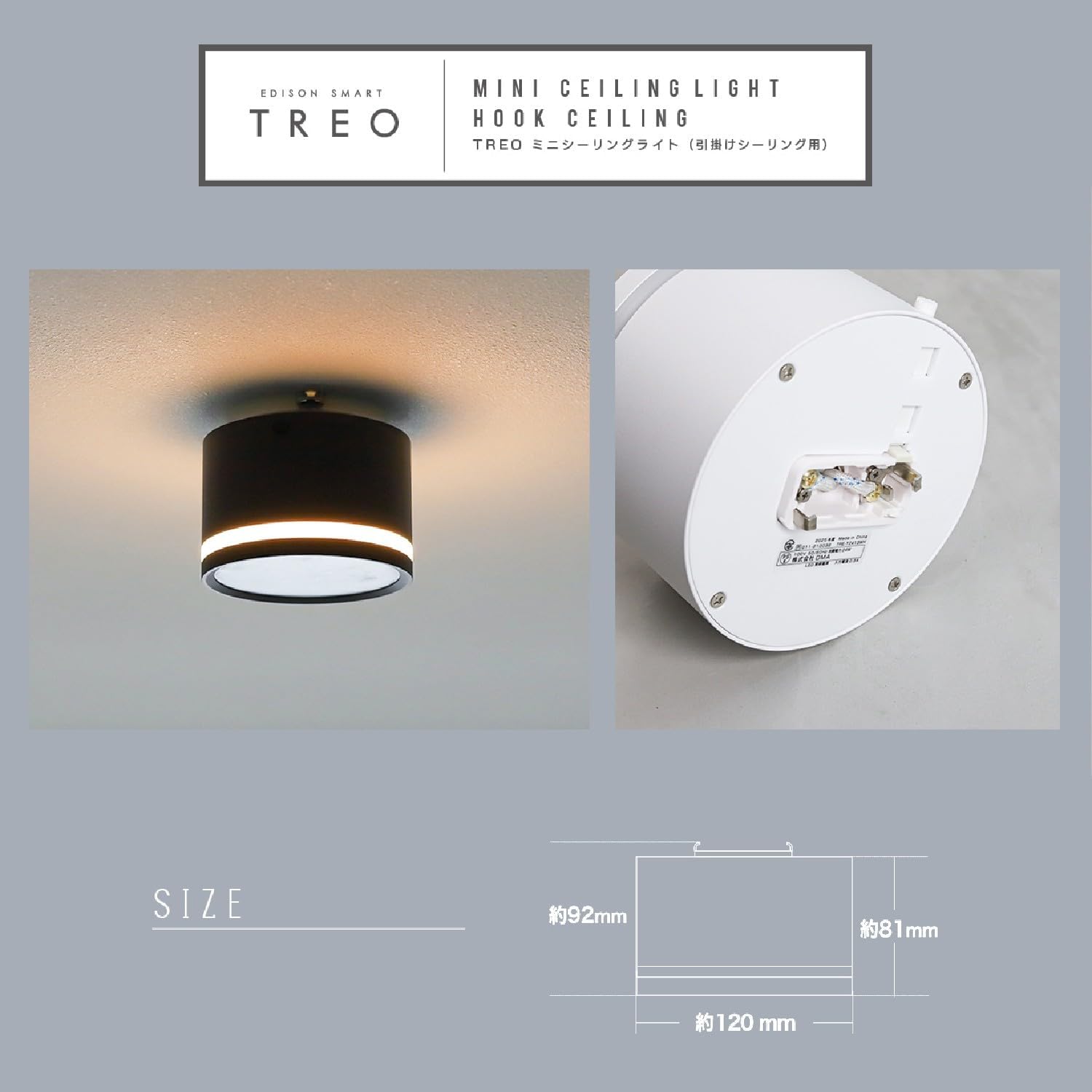 エジソンスマート 3Way点灯シーリングライトTREOx2個 リモコンセット