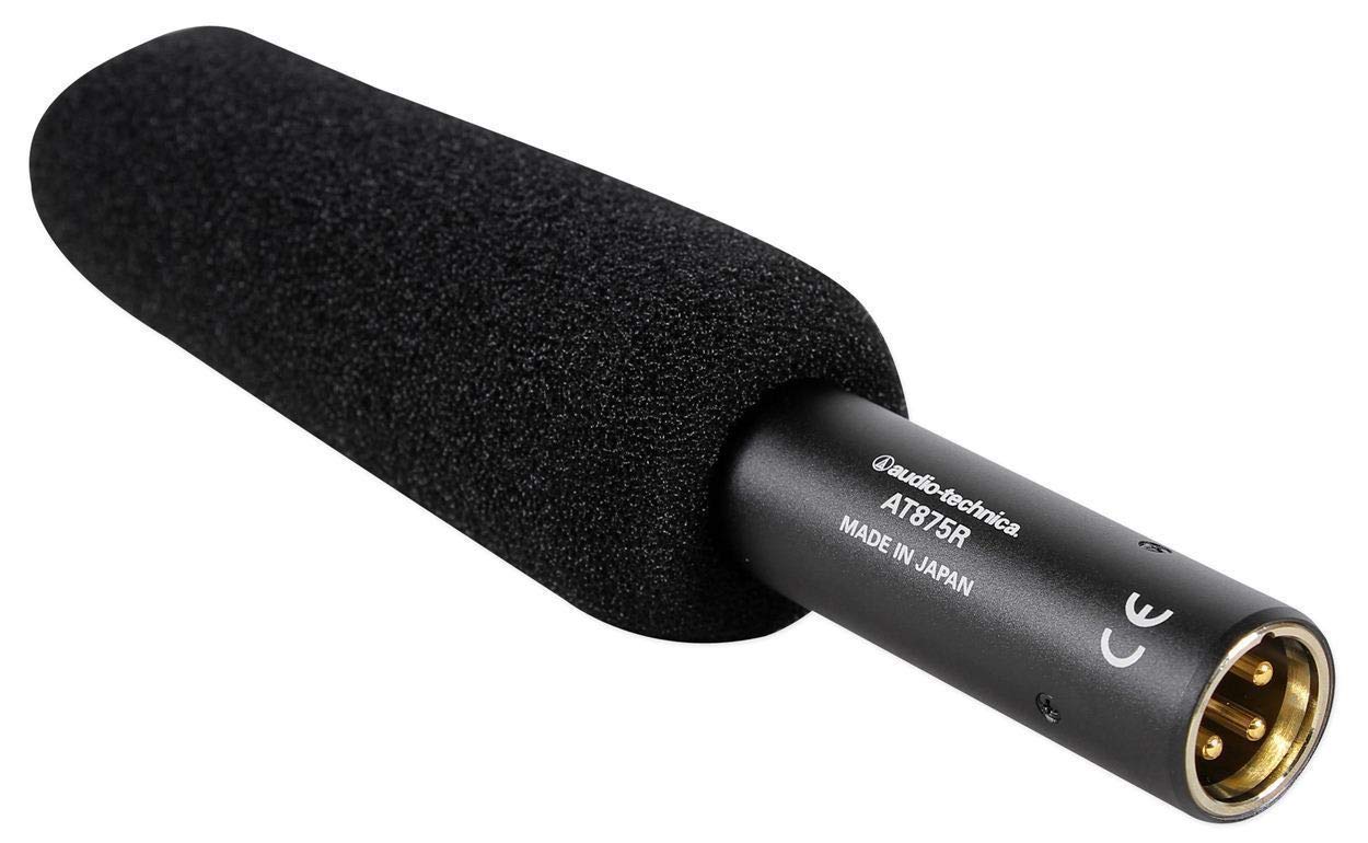 Amazon.co.jp: オーディオテクニカ (2) AT875R ショットガン