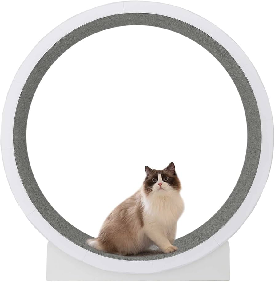 Amazon | キャットホイール 猫 ランニングホイール キャットウォーク
