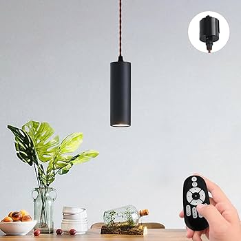 Amazon.co.jp : ANWIO ペンダントライト ダクトレール用 100cm調節可能